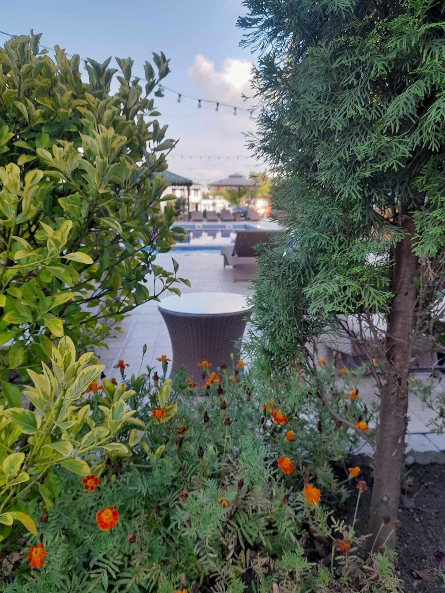 Green Terrace Kobuleti Dış mekan fotoğraf